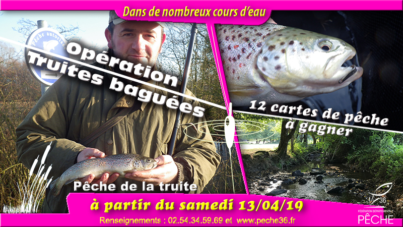peche truite 59