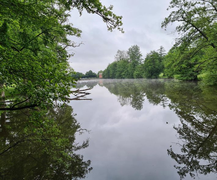 chambres d'hôtes L Eléphant Heureux