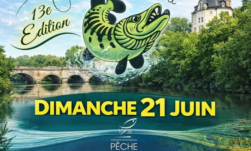 Information Fish In Street 2026