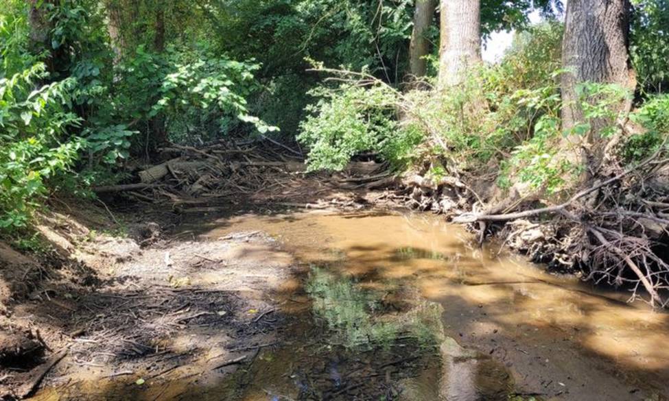 Fermeture de la Pêche en 1ère catégorie